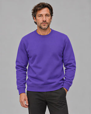 TACVASEN Purple Men's Sherpa Lined Sweatshirt Warm Heavyweight Fleece Pullover