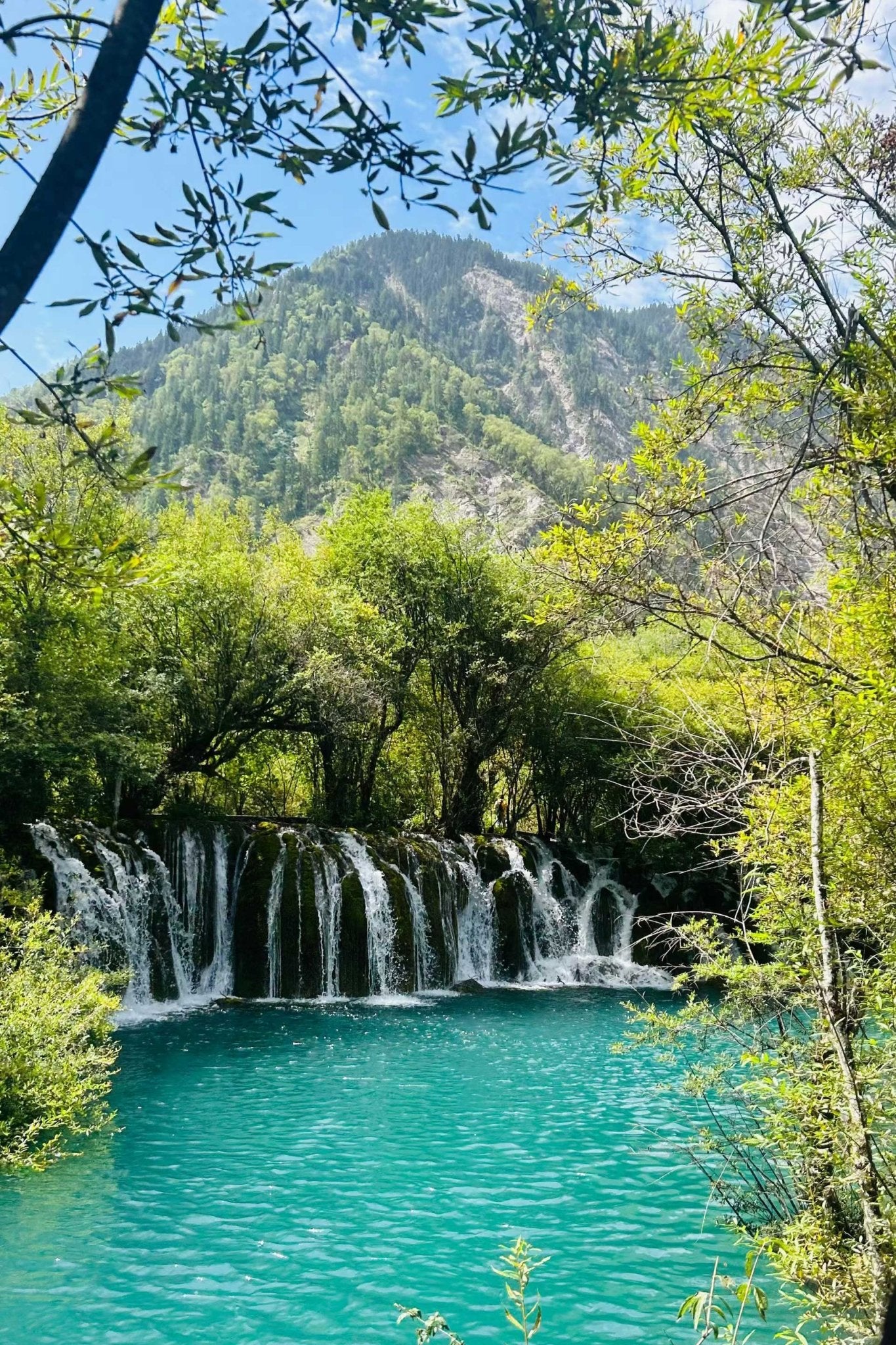 Lost in the "Fairyland": Exploring the Vivid Waters of Jiuzhaigou & Huanglong - TACVASEN