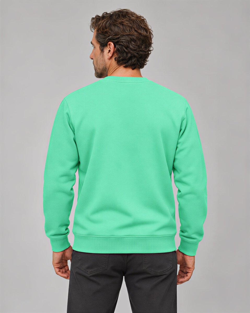 TACVASEN Mint Green Men's Sherpa Lined Sweatshirt Warm Heavyweight Fleece Pullover
